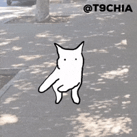 Cat Meme GIF