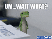 What Confused GIF by GEICO