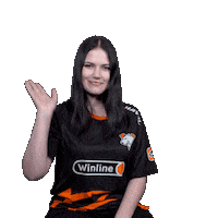 The Bears Esports Sticker by Virtus.pro