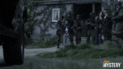 Scorpion GIF by ION Mystery