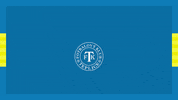 Gol GIF by FK Teplice