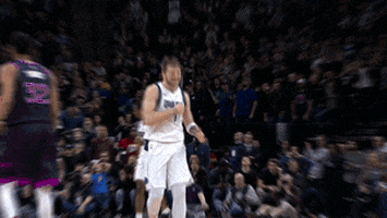 happy pumped up GIF by NBA