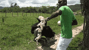 celebrate fuck yeah GIF