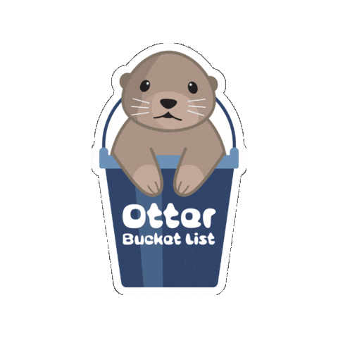csumbshtm giphygifmaker otter bucketlist csumb Sticker