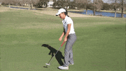 golf wave GIF by GreenWave