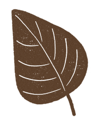 Fall Autumn Sticker by Daniela Nachtigall