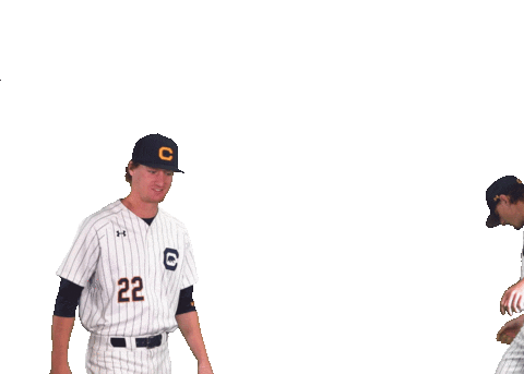 Uc Berkeley Baseball Sticker by Cal Athletics