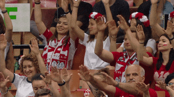 fans polish GIF by Volleyball World