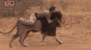 Man Friend GIF
