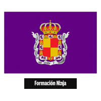 Flag Spain Sticker by Formación Ninja