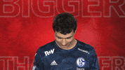 Look Up Schalke 04 GIF by Bundesliga