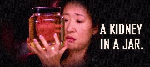 anatomy GIF