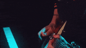 live music guitar GIF by Polyvinyl Records