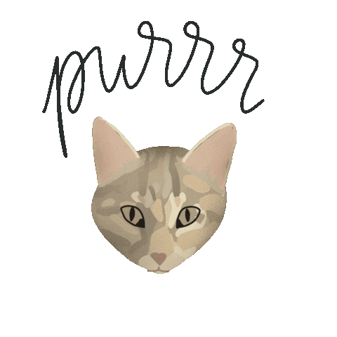 nelevandeweyenberg cat chat handmade kat Sticker