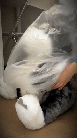 Aniroshop giphyupload GIF