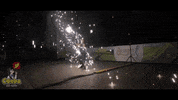 showsfera staff showsfera GIF