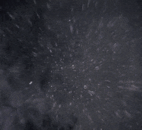 orange wow GIF by Lion Beach