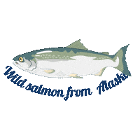 Wild Salmon Swimming Sticker by Alaska Seafood