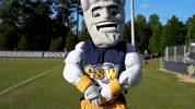 Number 1 Winner GIF by Georgia Southwestern State University