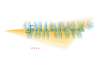 unifenasuniversidade universidade nutricao soumaisunifenas soumaisnutricao Sticker