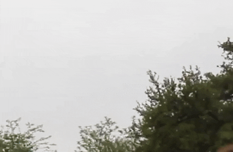 Run The World GIF by Dayglow