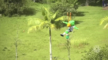 Palmeiras resort palmeiras voando voa GIF