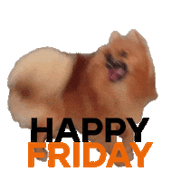 Dog Friday Sticker by CONCEPTX