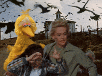 Sesame Street Running GIF by Bell Brothers
