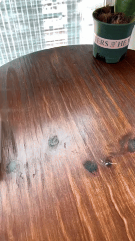 Gadjvibe giphyupload GIF