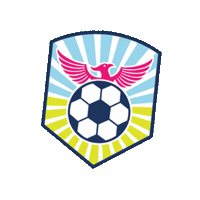 risesoccerclub together we rise rise soccer club rise sc always rise Sticker