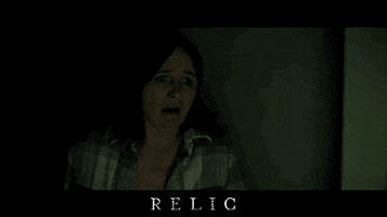 Film Festival Movie GIF by Signature Entertainment