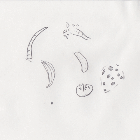 shanebeam giphyupload animation loop fruit GIF