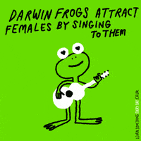 guitar love GIF by Learn Something Every Day