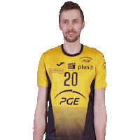 Scared Volleyball Sticker by PGE Skra Bełchatów