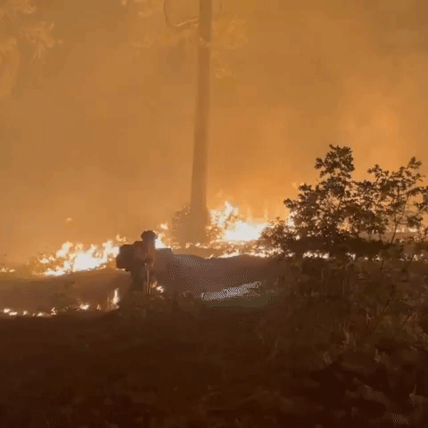Northern California Crews Fight Caldor Fire