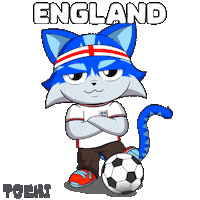 Football Win Sticker by Toshithecat