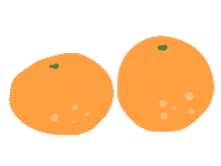 Orange Fruits Sticker