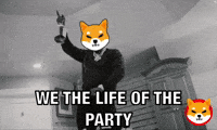 Shiba Inu Coin GIF by SHIB MEMES