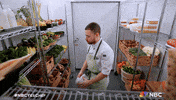 Season 1 Yes Chef GIF by NBC