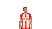 Come On Challenge Sticker by FC Red Bull Salzburg