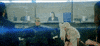 broad city money GIF by Comedy Central