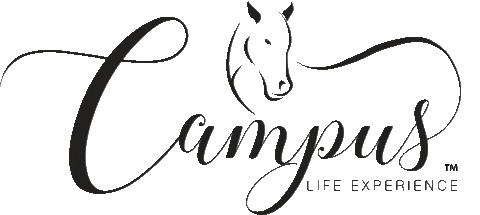 Campus4life giphyupload campus lifeexperience campuslifeexperience Sticker