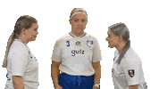 Floorball Salibandy Sticker by F-liiga