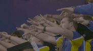 GIF by Delaware Blue Hens