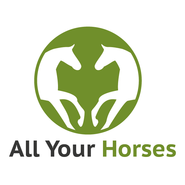 Horse Riding GIF by allyourhorses