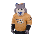 Ice Hockey Sticker by NHL