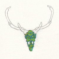 stop motion animation GIF by Chelsea Quinlan