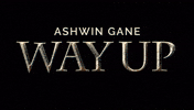 Movie Time Turkey GIF by Ashwin Gane