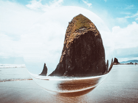 You Can Wow GIF by FranchiseONE.de