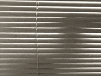 Anybody GIF